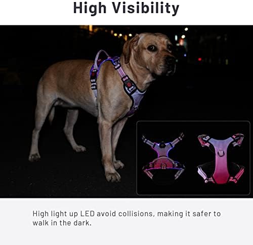 Шлейка за кучета с led подсветка: Акумулаторна чрез USB, Сиянието, Водоустойчива, Светоотражающая, не Простираща, Регулируем Оксфорд