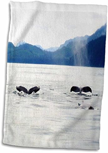 Кърпа TWL_62671_1 с 3D Розови китовыми опашки в Аляска, 15 x 22
