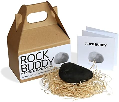 Rock Buddy с Пълен Образователен инструмент и спално бельо